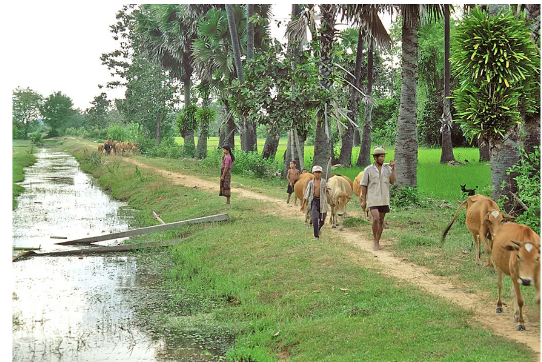 Rural Cambodia